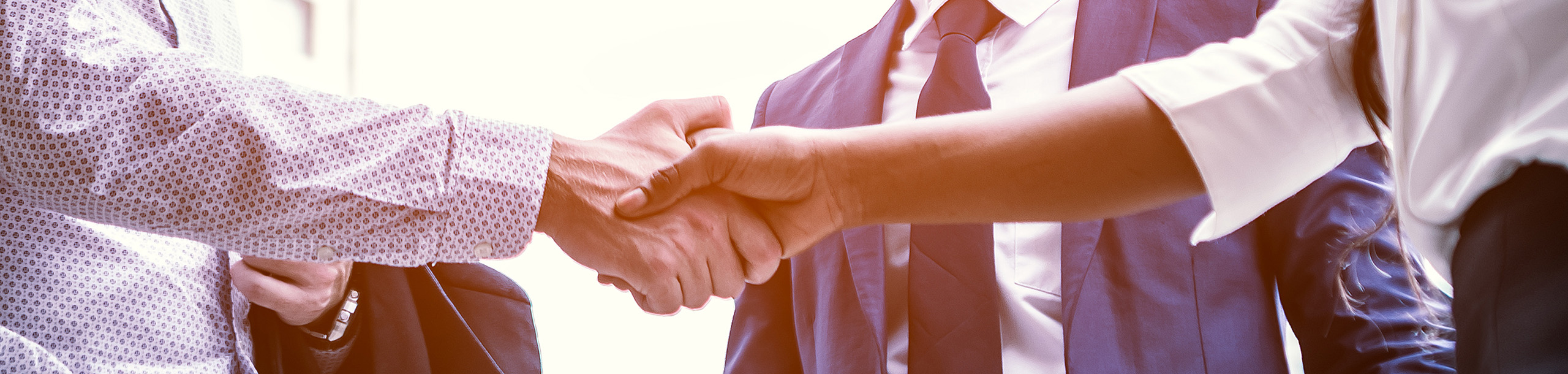 bfw Angebot WUNDER – Sächsisch netzwerken