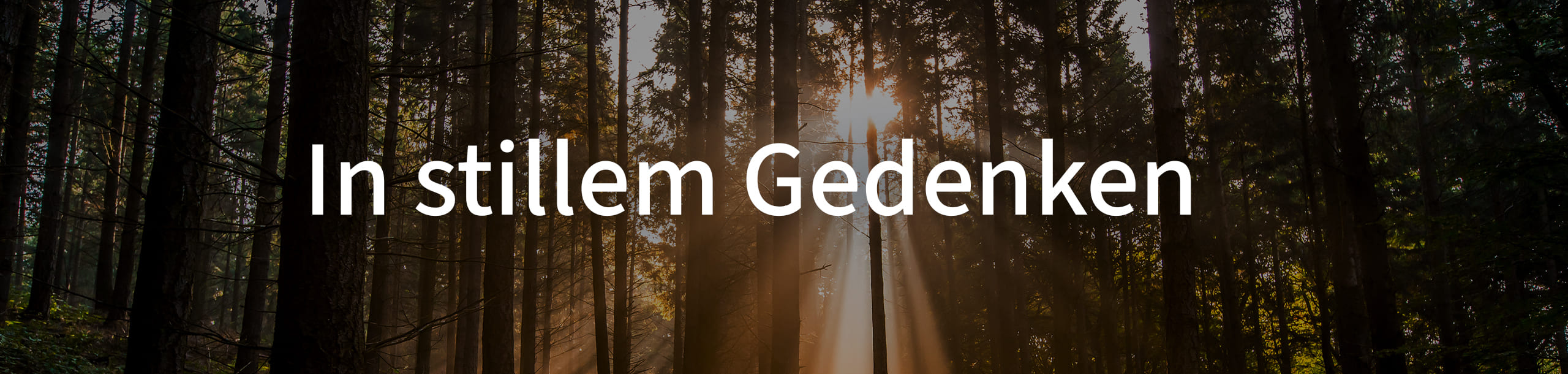In stillem Gedenken Header 2560x610px