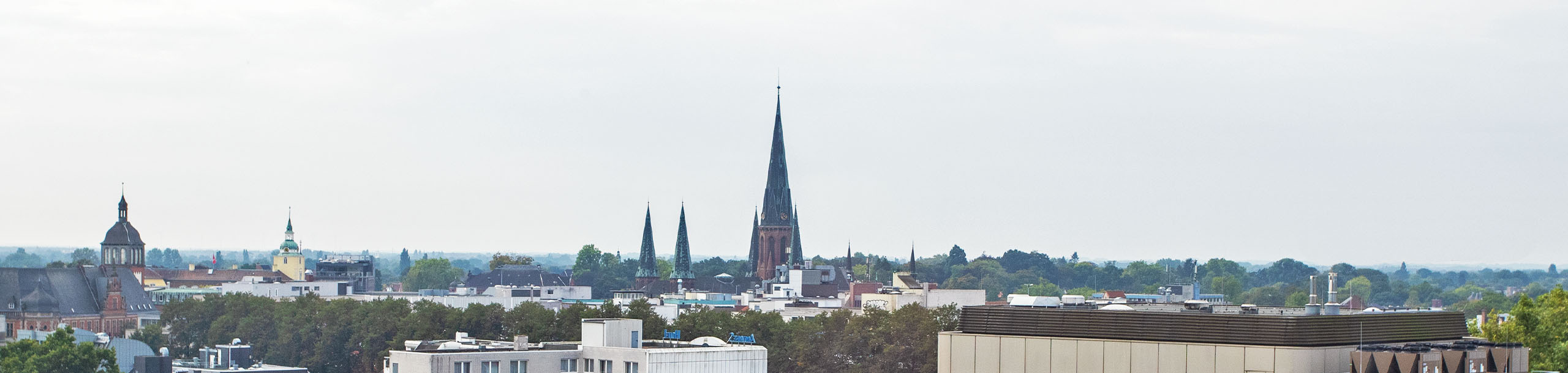 bfw Oldenburg Header