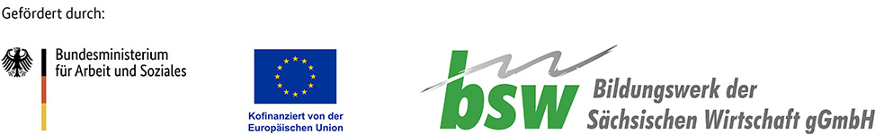 DE Kofinanziert von der Europäischen Union WeBiNa