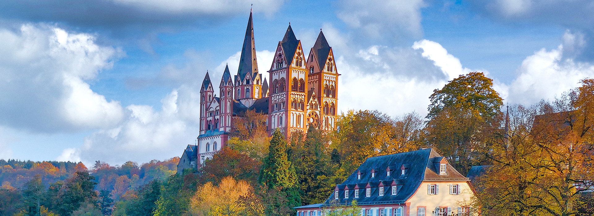 Limburg bfw