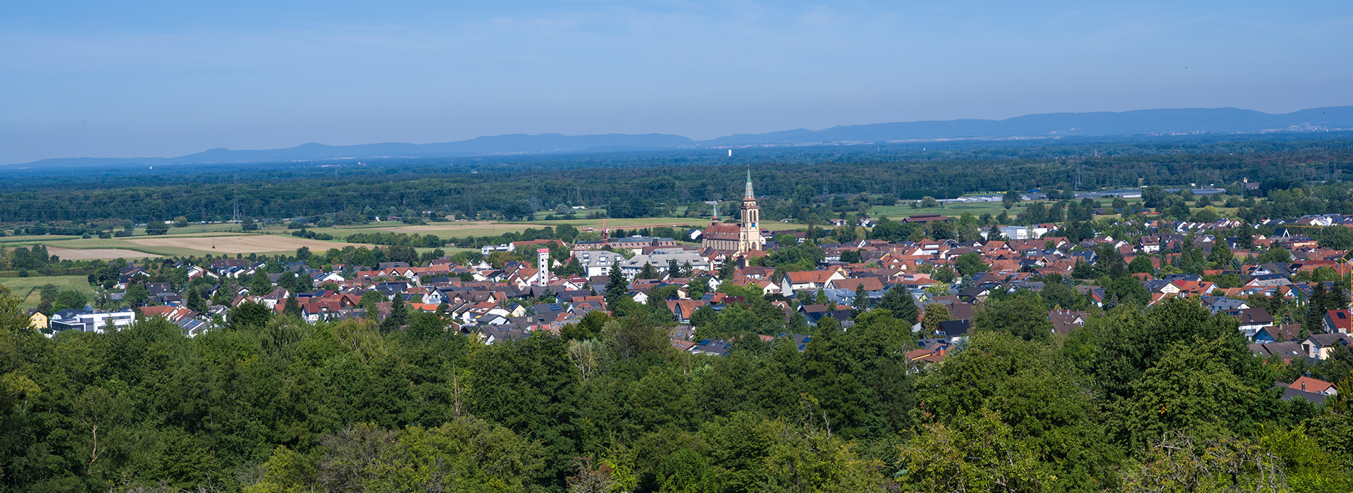 Sinzheim bfw
